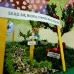 Centralna część makiety z napisem „Skąd się biorą owoce ekologiczne”, postacią rolnika, drzewami owocowymi i koszem ekologicznych owoców.