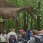 Dzieci oglądają ogromny model prehistorycznego dinozaura wśród drzew Parku Dinozaurów.